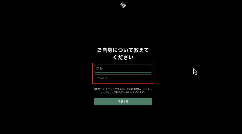 氏名と生年月日を入力する場所はここ